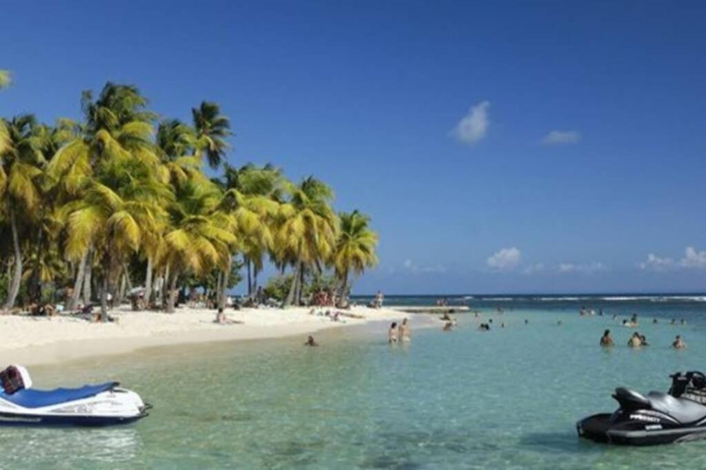 Gite Cajou Dans Jardin Tropical Ventile A Sainte-Anne ภายนอก รูปภาพ