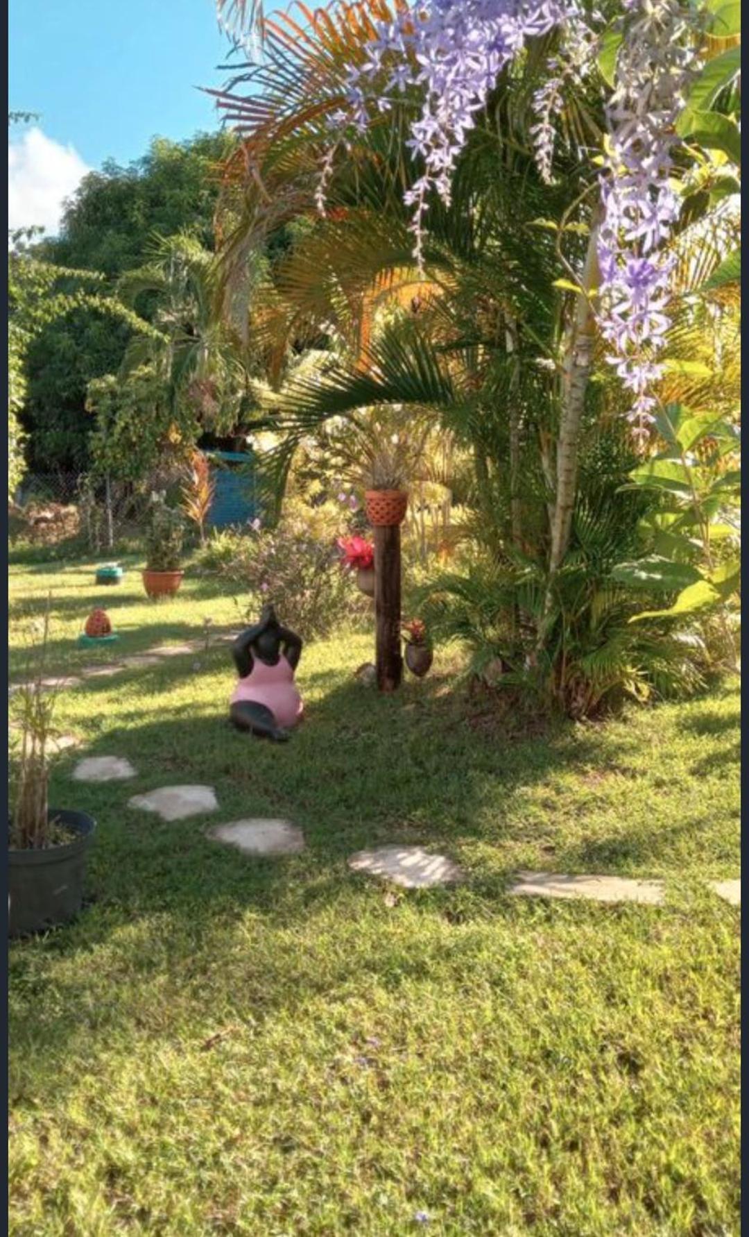 Gite Cajou Dans Jardin Tropical Ventile A Sainte-Anne ภายนอก รูปภาพ