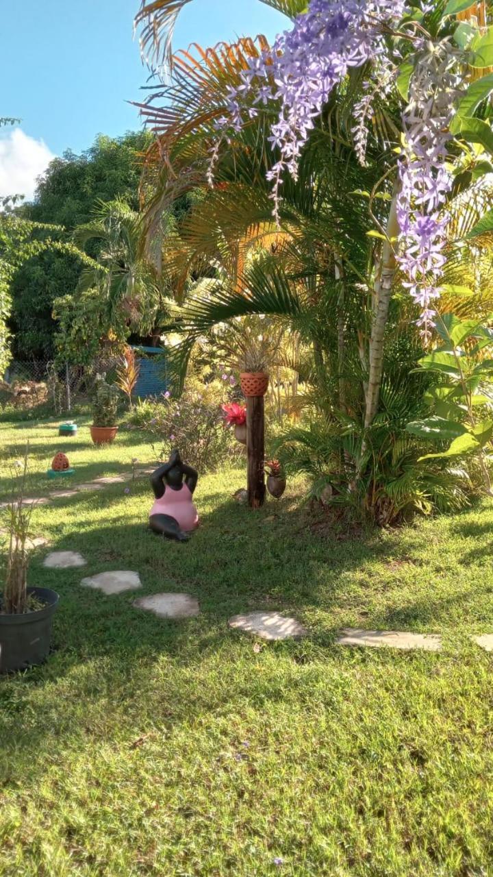 Gite Cajou Dans Jardin Tropical Ventile A Sainte-Anne ภายนอก รูปภาพ